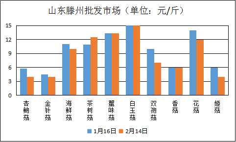蘑菇市场走势与行业深度分析，行情概览与产业洞察