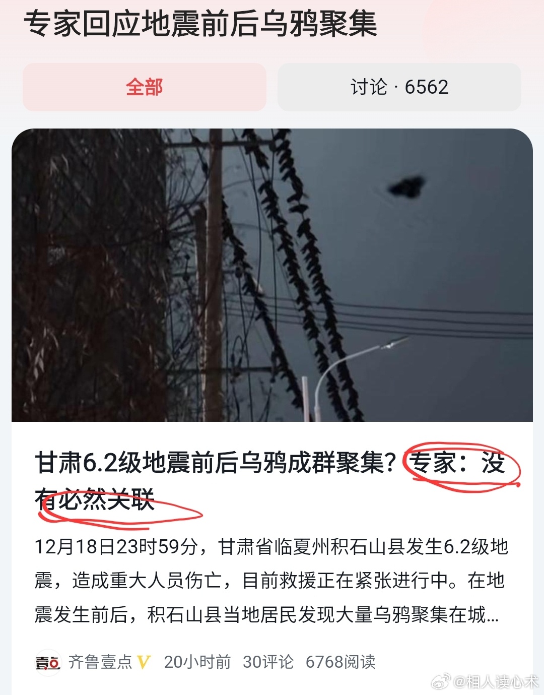 最新草原黑暴现象揭秘，真相探究与应对之策