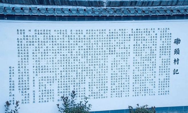 最新殷姓人口探索，与自然美景的浪漫遨游之旅