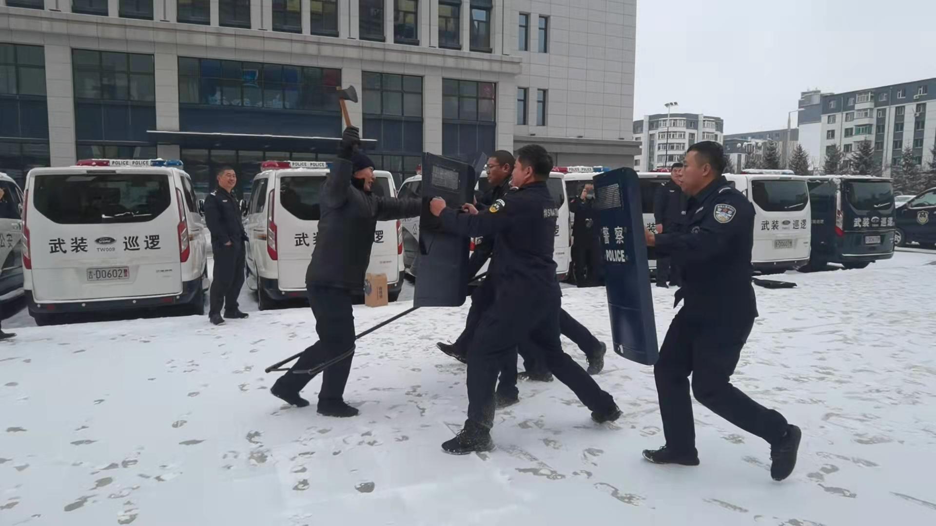 弹弓神警最新，现代执法工具与公众观点的碰撞与融合