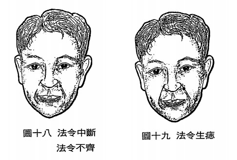 中国最新法令详解，指南与操作手册