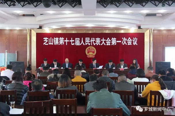 林畅浩科技新品介绍，探索林畅浩科技产品的前沿创新