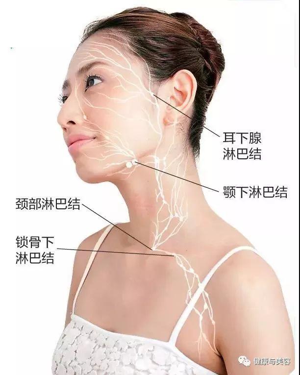 最新美体手法秘籍，塑造完美身材的终极指南