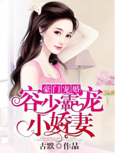 霸宠小妻90天最新章节深度解析与背景事件探讨