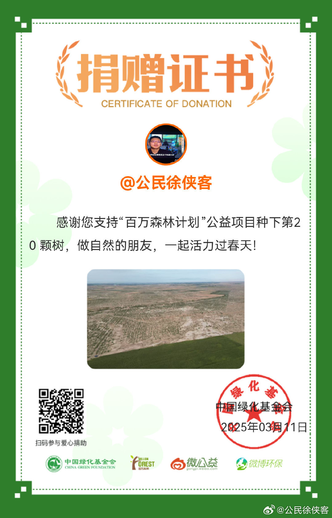 长青树众筹最新动态，背景、发展与时代地位探索