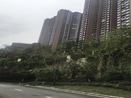 重庆和黄御峰最新动态，小巷美食秘境探秘揭秘